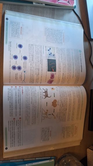 Biología, Geología y Ciencias Ambientales, 1º Bach