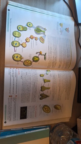 Biología, Geología y Ciencias Ambientales, 1º Bach