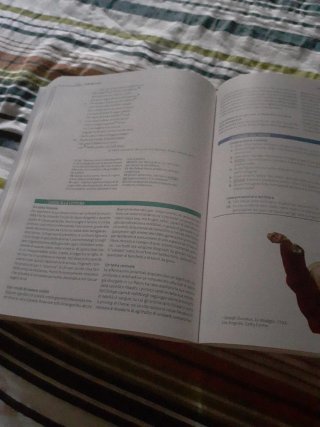 L'ottima compagnia. Ediz. rossa. Per le Scuole ...