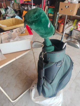 Bolsa de palos de golf Greenway