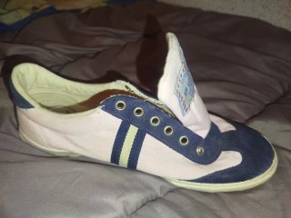 Zapatillas El Ganso Azul y Rosa