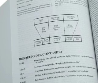 Nuevo Comentario Biblico Siglo XXI