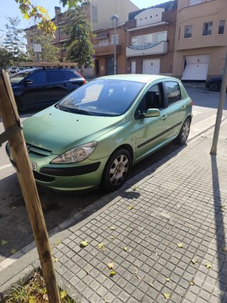 Peugeot 307 2002