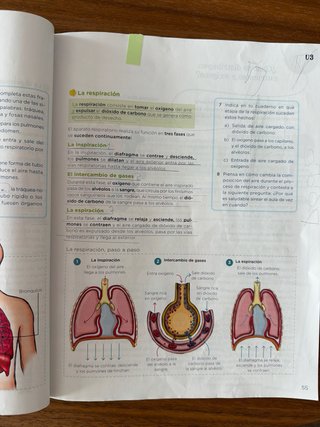 Libro de ciencias Naturales, Anaya, 5 primaria
