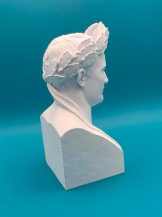 Busto Napoleone 25cm Stampa 3D