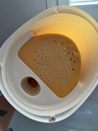 Asiento ducha/bañera bebé