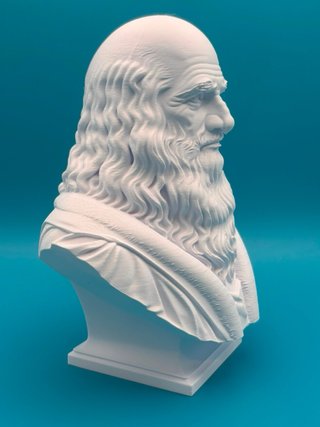 Busto Leonardo Da Vinci 25cm Stampa 3D
