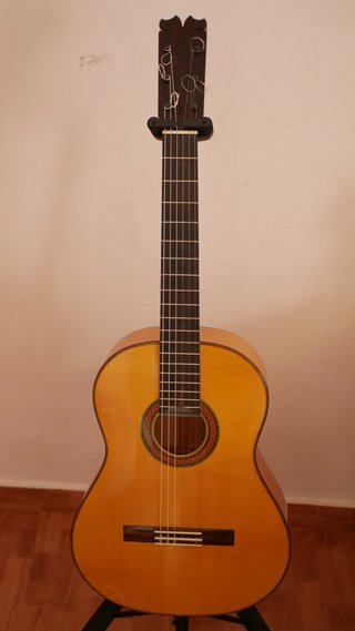 Guitarra Flamenca Concierto