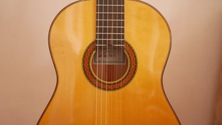 Guitarra Flamenca Concierto