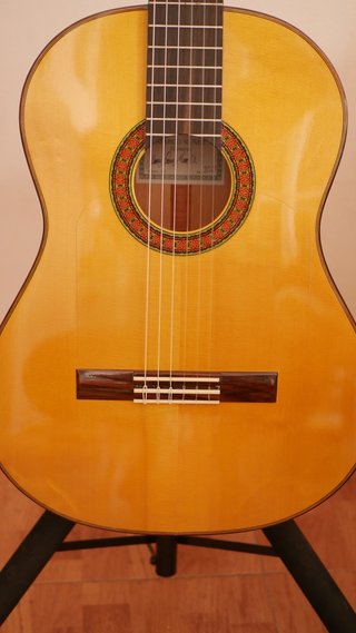 Guitarra Flamenca Concierto