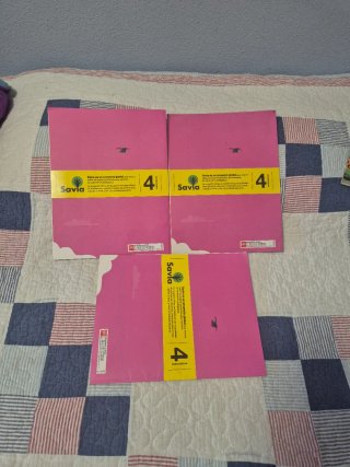 Lote 3 libros matemáticas 4 primaria