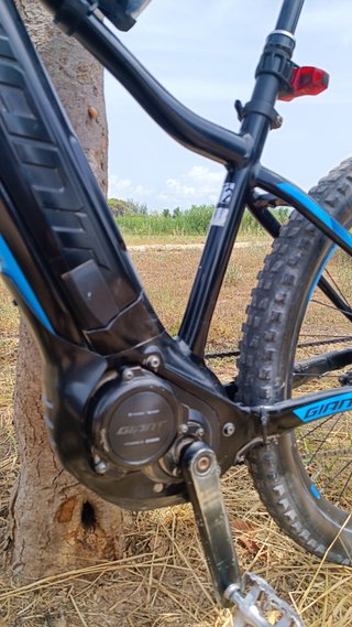 Bicicleta Eléctrica Giant Fathom Negra