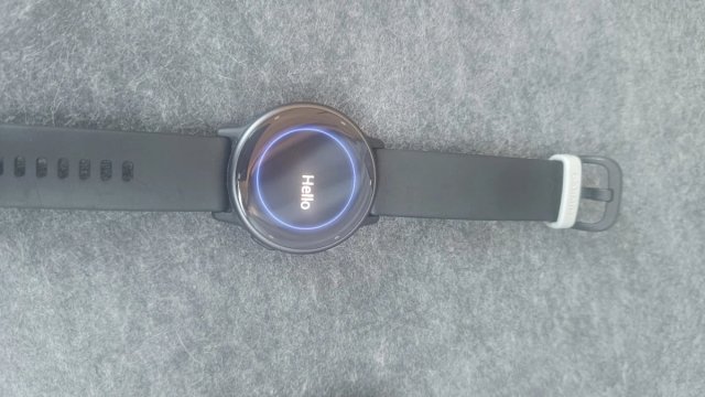 Smartwatch Garmin Vívoactive 5 Negro