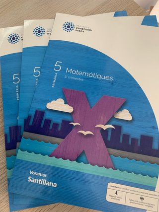 LOTE COMPLETO Matemàtiques, 5 Primaria, Santillana