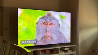 TV Samsung Neo QLED 75 8K QN750C