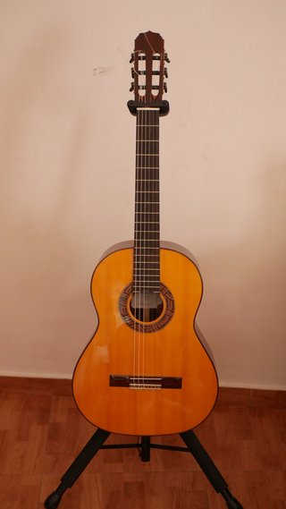 Guitarra Clásica Cofradía Concierto