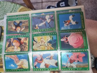 Álbum Cartas Dragon Ball Z Serie 5 Panini