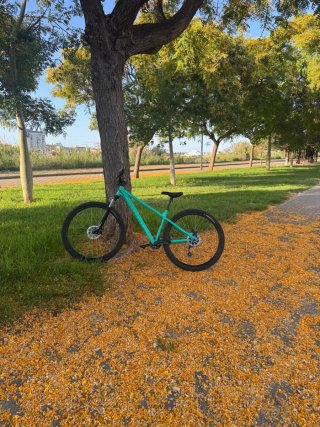 Rockrider 100 Bicicleta Montaña