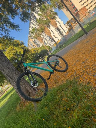 Rockrider 100 Bicicleta Montaña