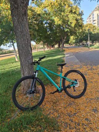 Rockrider 100 Bicicleta Montaña
