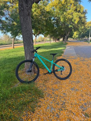 Rockrider 100 Bicicleta Montaña