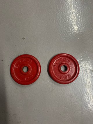 2 Discos Pesas Salter 2 kg