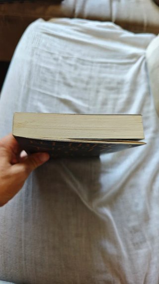Libro "El libro de la noche" - Holly Black