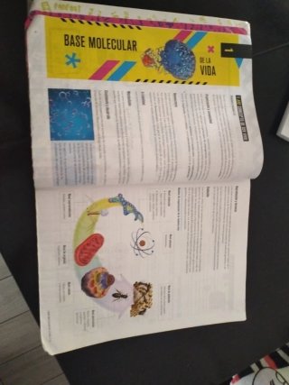 Proyecto: FanFest - Biología 2 Bachillerato