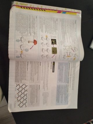 Proyecto: FanFest - Biología 2 Bachillerato