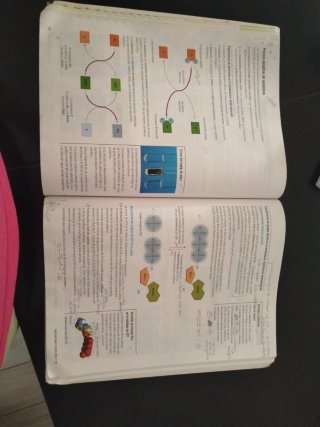 Proyecto: FanFest - Biología 2 Bachillerato