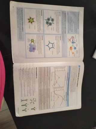Proyecto: FanFest - Biología 2 Bachillerato