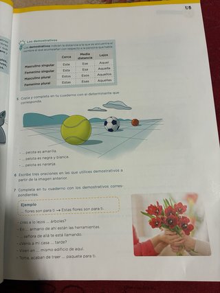 Lengua, 5 Primaria. Libros de los 3 trimestres.