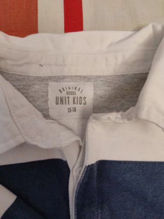 Polo rayas azul y blanco
