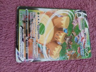 Cartas Pokémon V/VMAX/GX