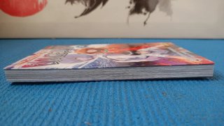 Manga Neogenesis Evangelion 13