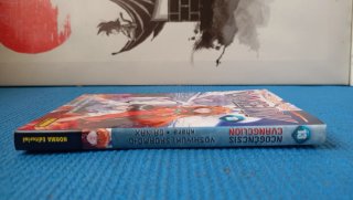 Manga Neogenesis Evangelion 13