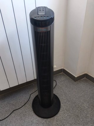 Ventilador Cecotec Negro