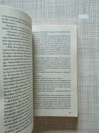 Io sono un gatto