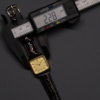 Favre-Leuba Genève Reloj de Cuerda Chapado en Oro