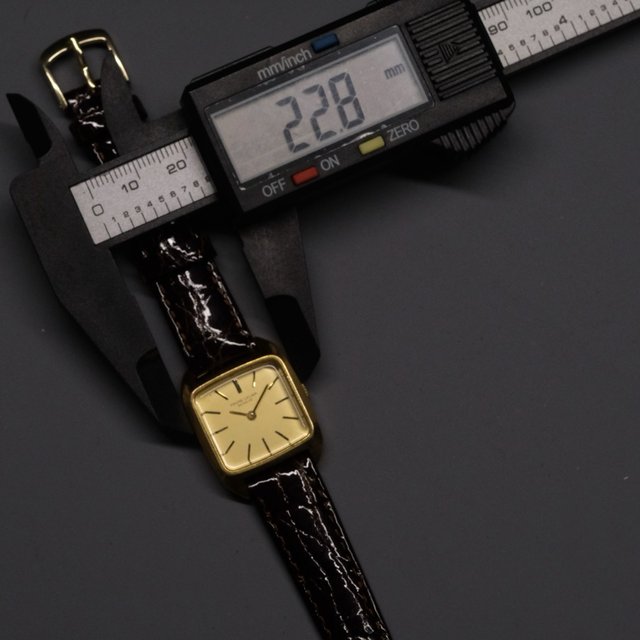 Favre-Leuba Genève Reloj de Cuerda Chapado en Oro