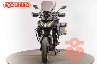 QJ MOTOR SRT 900 SX