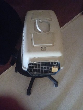 Transportín para mascotas beige y azul
