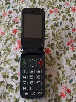 Teléfono Móvil BRIGMTON para Mayores - Negro