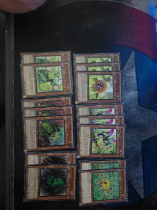 Yugioh! Base Cartas Naturia