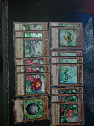Yugioh! Base Cartas Naturia