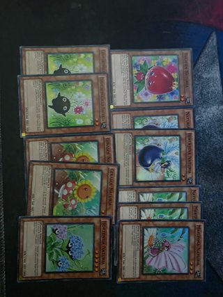 Yugioh! Base Cartas Naturia