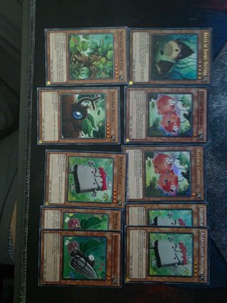 Yugioh! Base Cartas Naturia