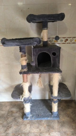 REGALO torre rascador gatos para reparar
