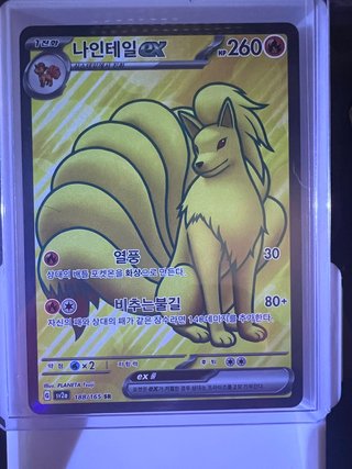 LOTE CARTAS POKEMON