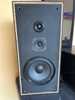 Altavoces Pioneer Negros